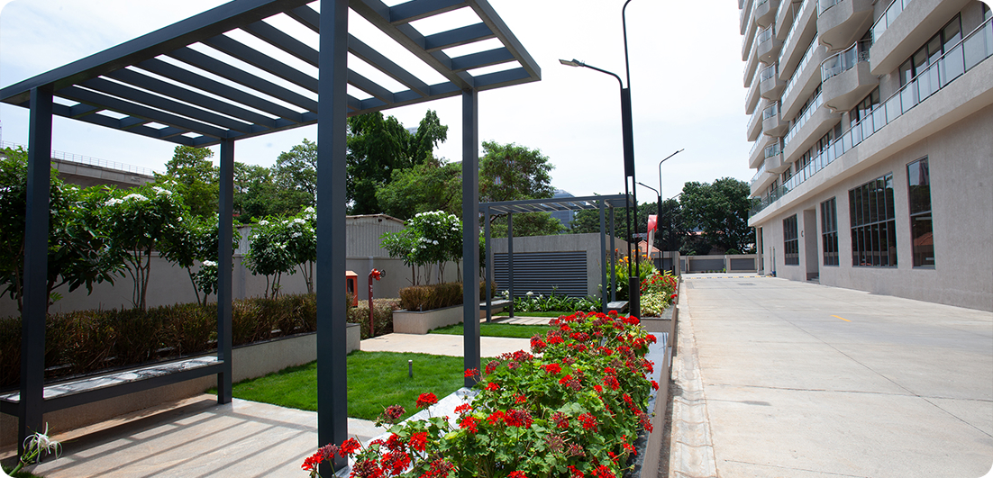 Swan Realty project feature